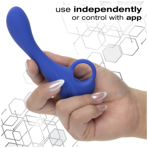 Calexotics Connect Explorer - Purple